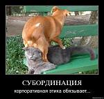 Нажмите на изображение для увеличения
Название: 1230246749_69.jpg
Просмотров: 42
Размер:	71.1 Кб
ID:	1378