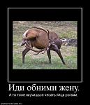 Нажмите на изображение для увеличения
Название: 321268_idi-obnimi-zhenu-516x600.jpg
Просмотров: 45
Размер:	58.2 Кб
ID:	2212