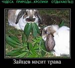 Нажмите на изображение для увеличения
Название: 0yd5tay1nrkw.jpg
Просмотров: 23
Размер:	39.9 Кб
ID:	3834
