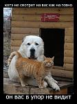 Нажмите на изображение для увеличения
Название: eypkudy6bayj.jpg
Просмотров: 31
Размер:	41.7 Кб
ID:	3846