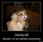 Нажмите на изображение для увеличения
Название: m5511qjnad8p.jpg
Просмотров: 32
Размер:	52.1 Кб
ID:	4420