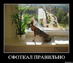 Нажмите на изображение для увеличения
Название: 0_5da49_73217eb2_L.jpg
Просмотров: 27
Размер:	50.8 Кб
ID:	4548