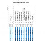 Нажмите на изображение для увеличения
Название: 1.jpg
Просмотров: 22
Размер:	110.1 Кб
ID:	70263